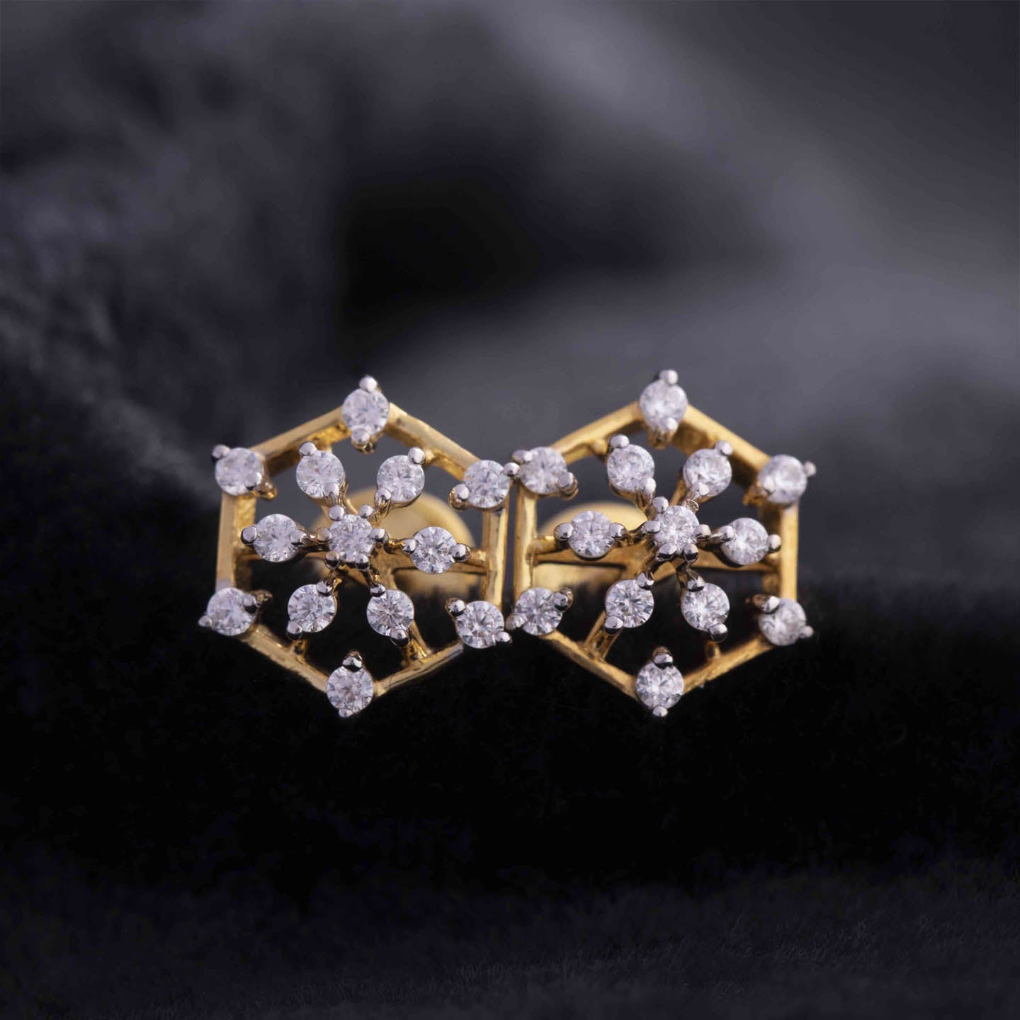 Sterling Silver Earring