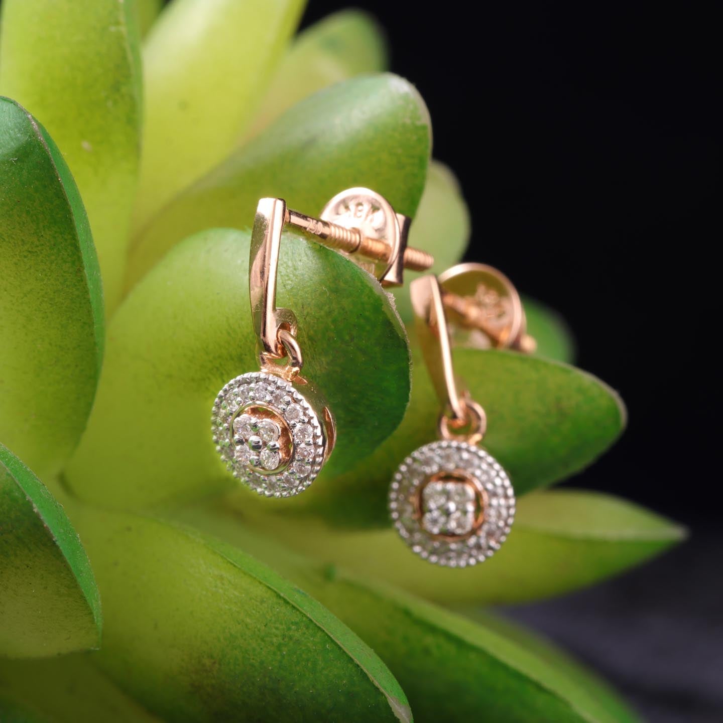 Silver Drop Earring