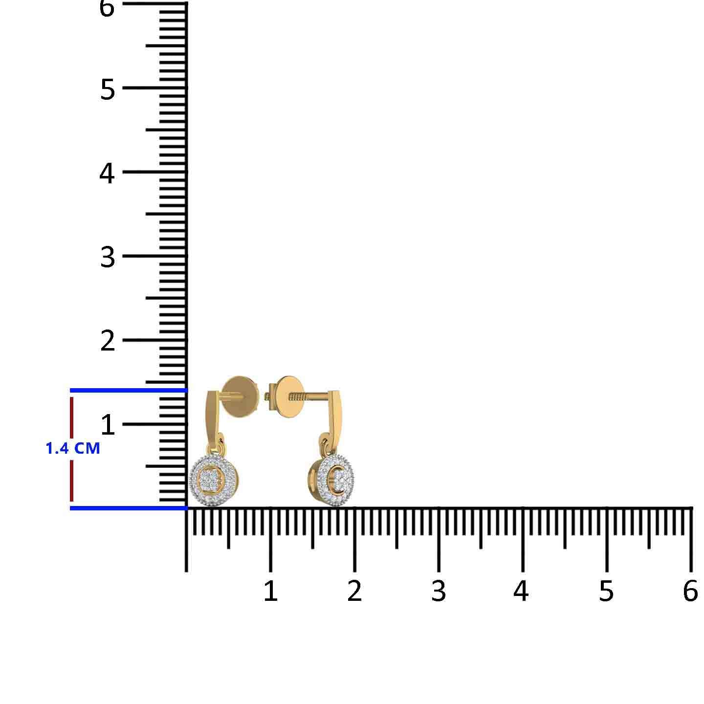 Silver Drop Earring