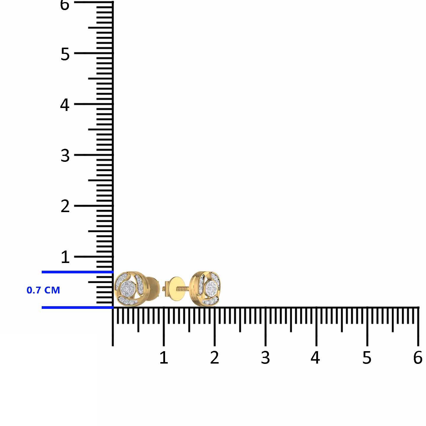 Silver Stud Earring
