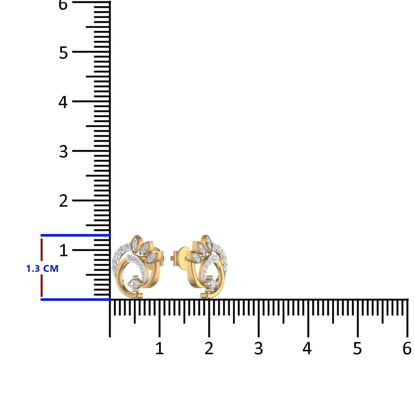 Silver Stud Earrings