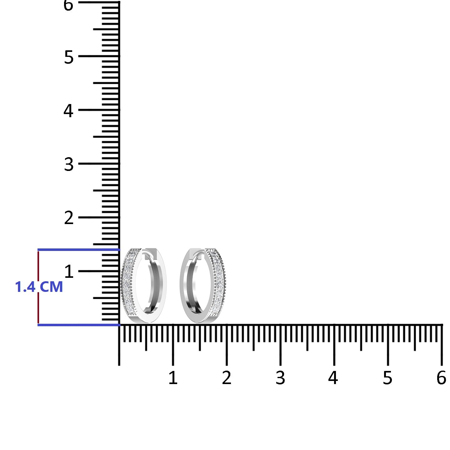 Sterling Silver Hoop Earrings