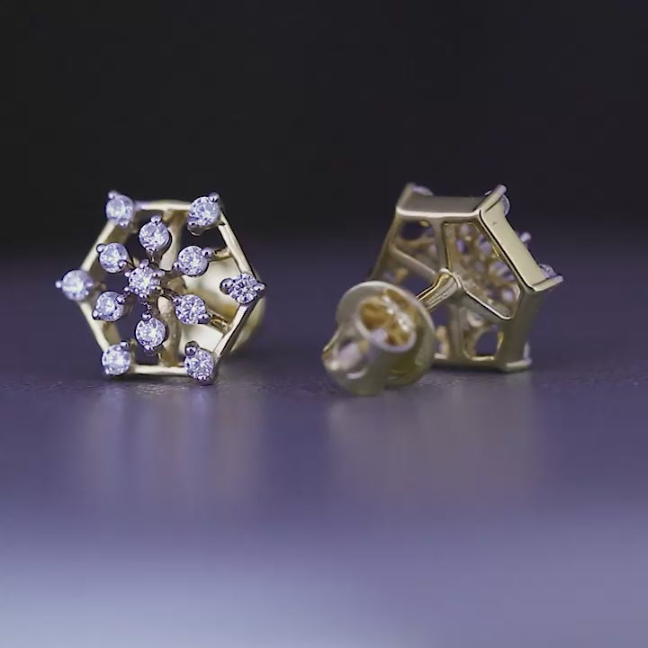Sterling Silver Earring